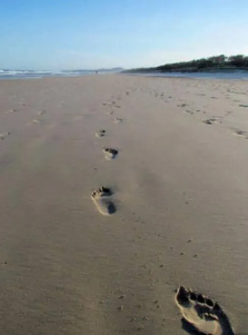 Σπίτι διακοπών Peregian Beach, Noosa Shire Qld Aus Αυστραλία